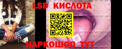 ГАЛЛЮЦИНОГЕННЫЕ ГРИБЫ Кандалакша