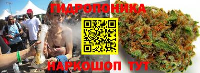 молекула духа Камышлов