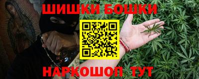 молекула духа Камышлов