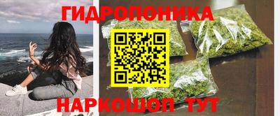 ГАЛЛЮЦИНОГЕННЫЕ ГРИБЫ Кандалакша